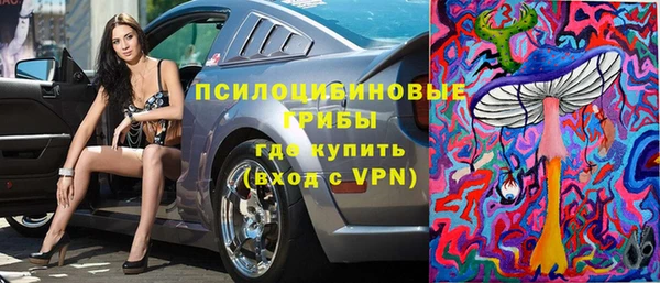 хмурый Алексеевка